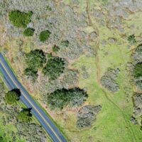 aerial photography of road