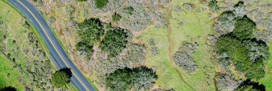 aerial photography of road