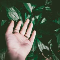 person wearing silver colored ring touching green leaf