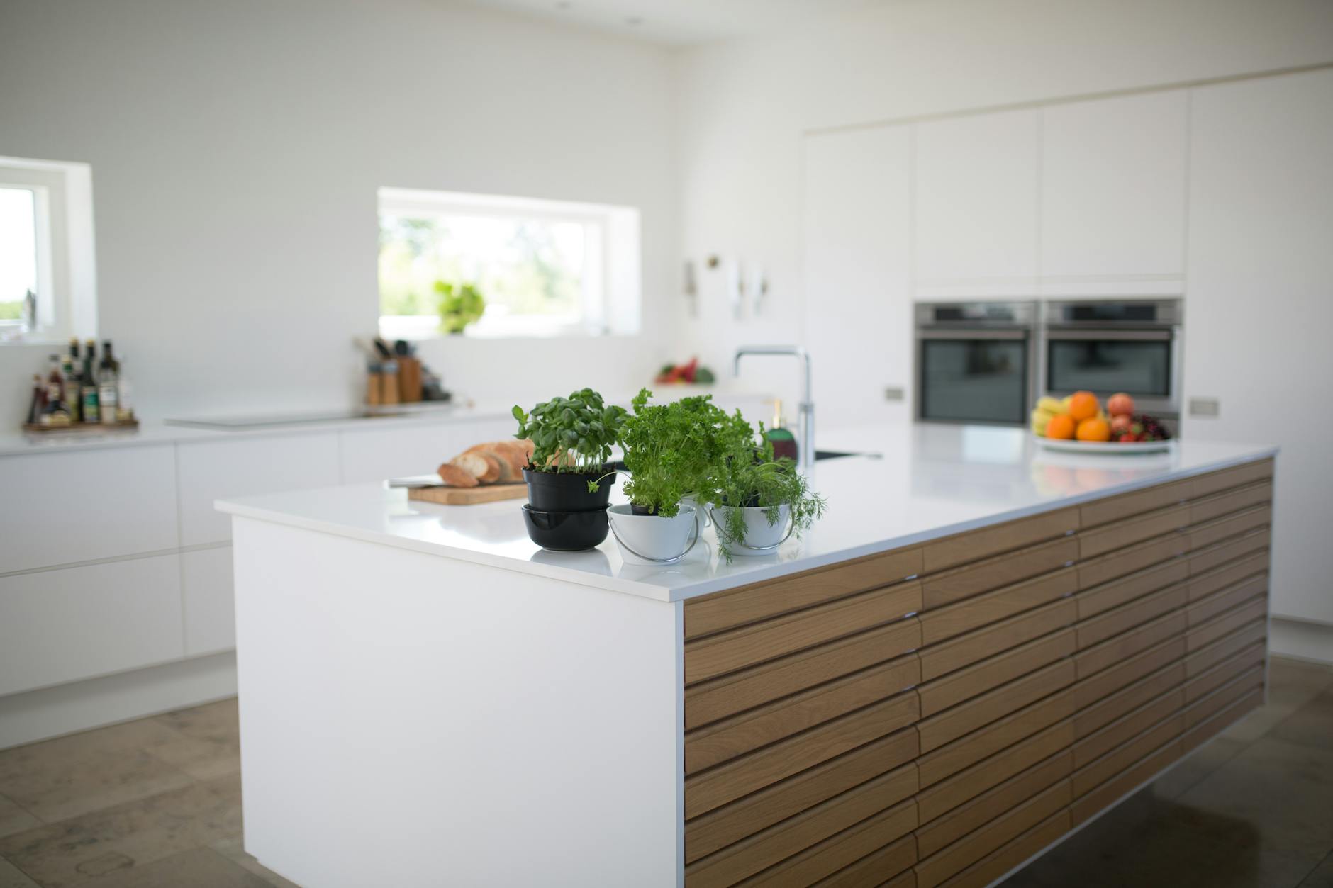 green leafed plants on kitchen island