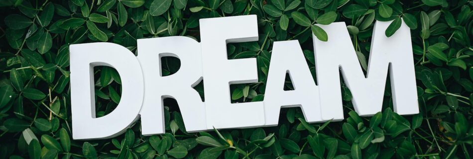 dream text on green leaves