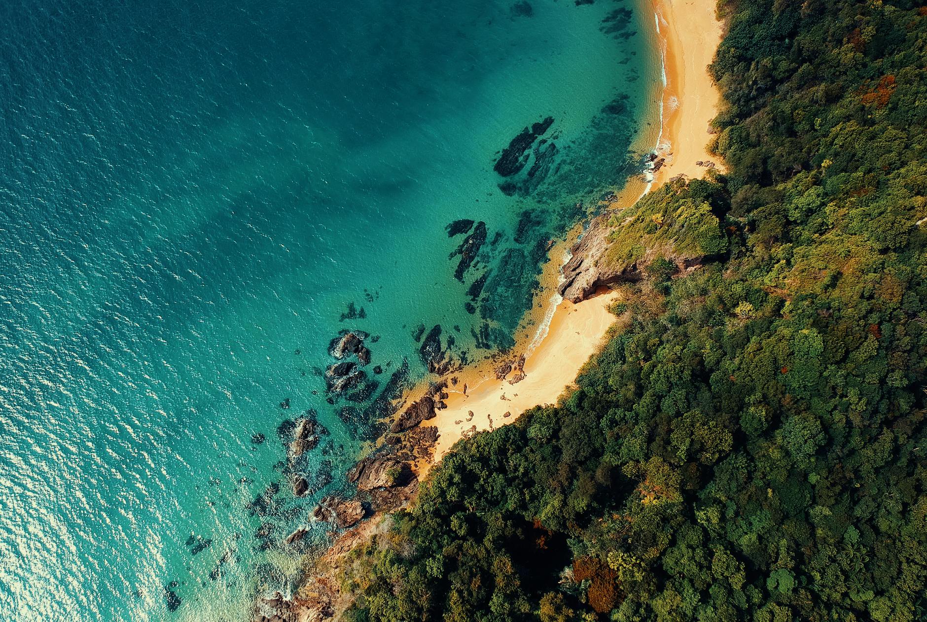 aerial photo of blue body of water and green leafed trees