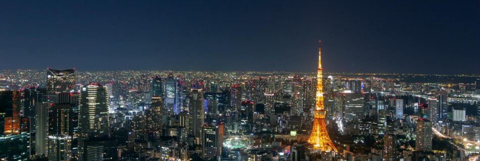 panorama of tokyo at night