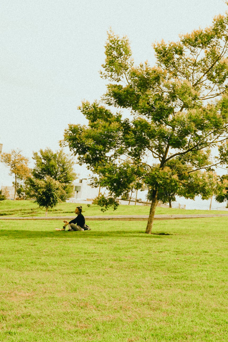 a person is running in a park with a dog