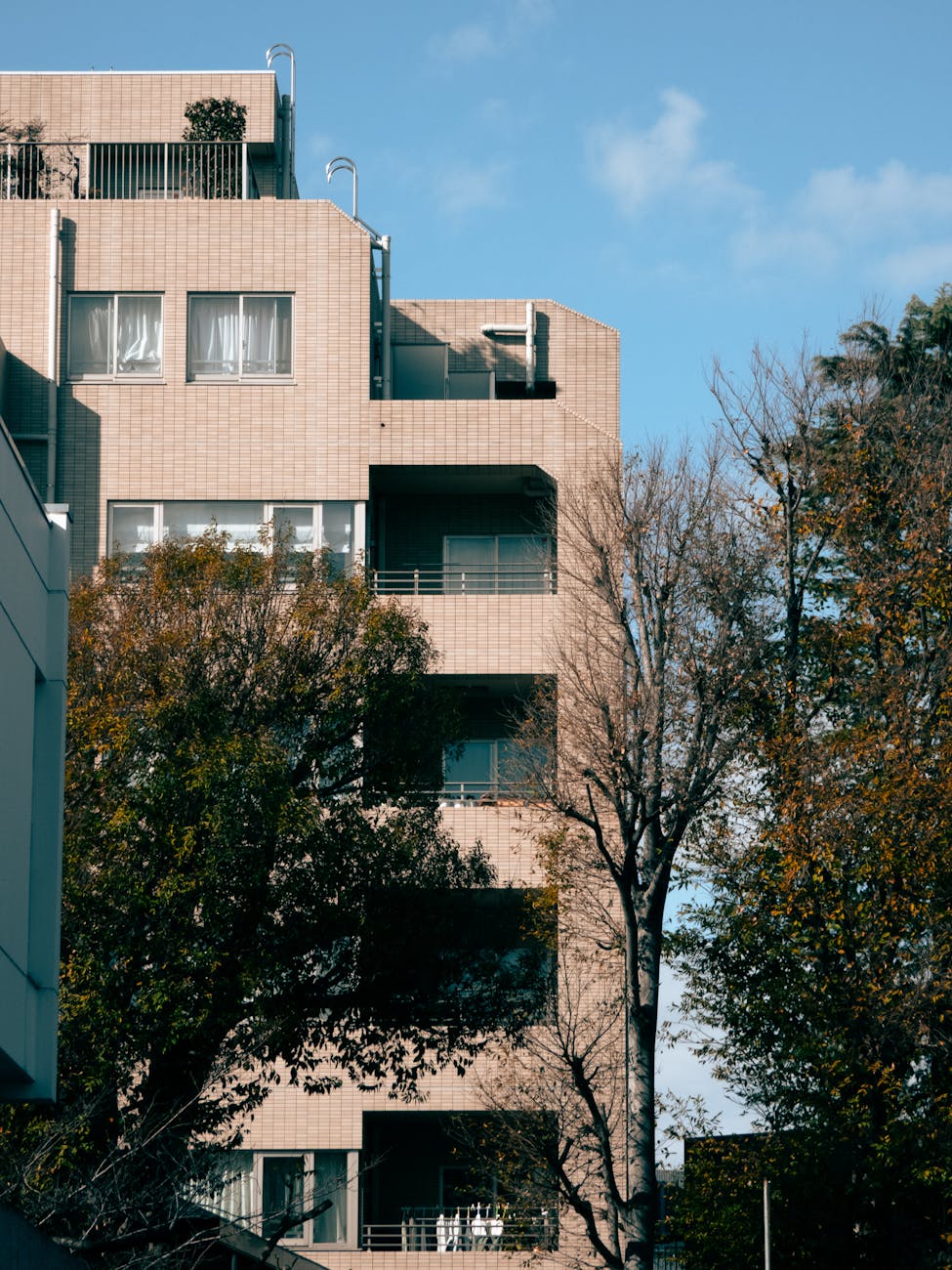 modern apartment building with autumn trees