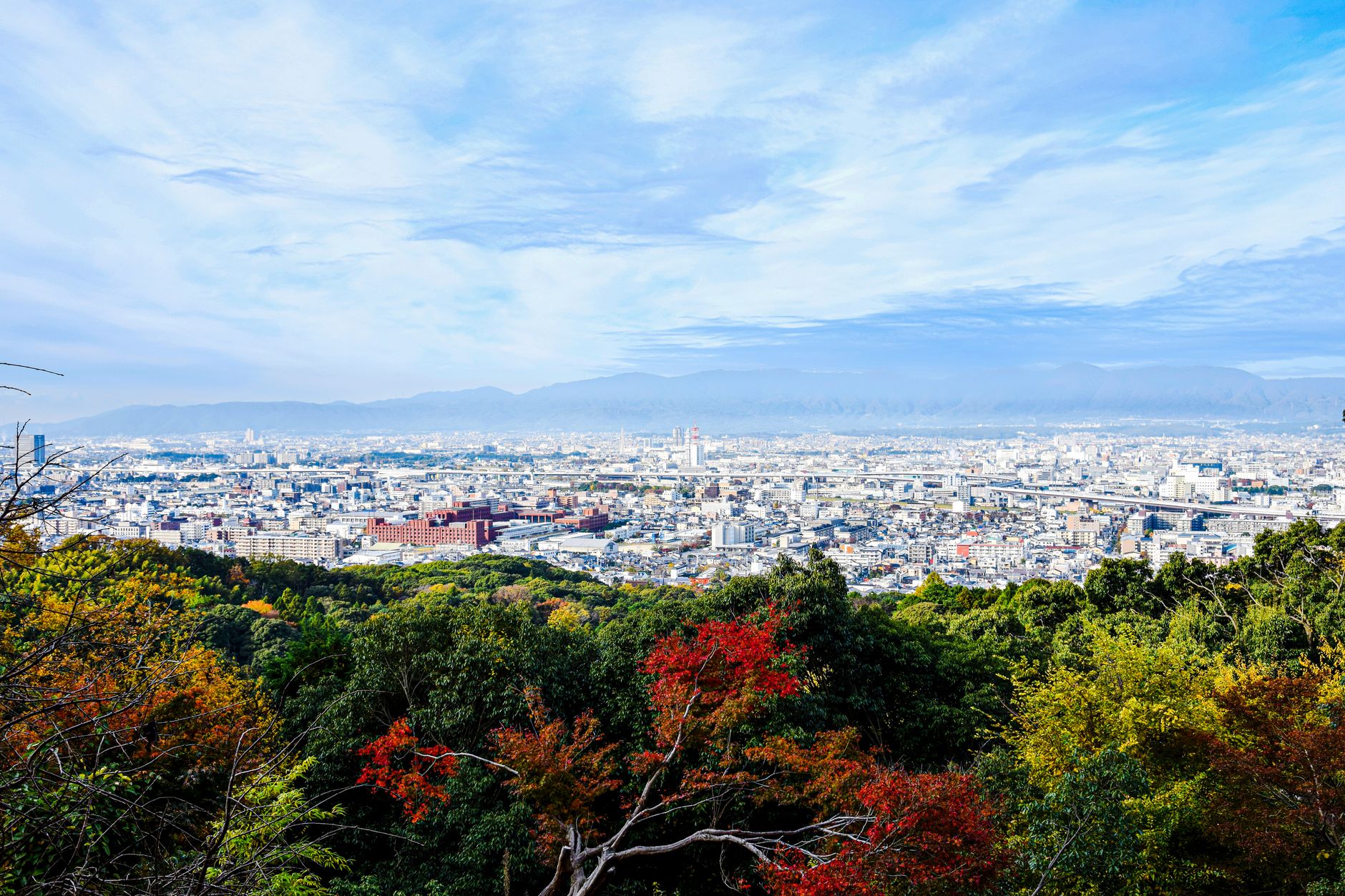 cityscape of kyoto seen from the fushimi inari shrine